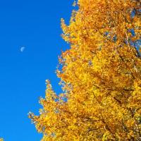 org:/landingpages/winnaars DK NO SE/2e-prize scandinavie.jpg